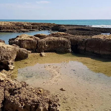 Cozy Garden T1 Near The * Albufeira