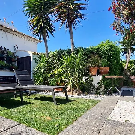 Apartamento Cozy Garden T1 Near The *