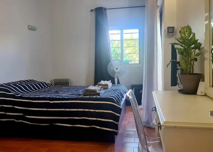 Apartamento Cozy Garden T1 Near The *