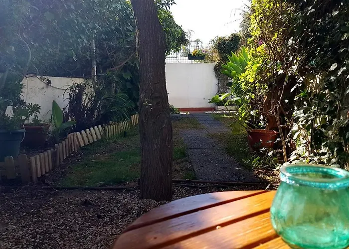 Apartamento Cozy Garden T1 Near The