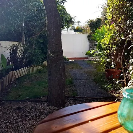 Apartment Cozy Garden T1 Near The